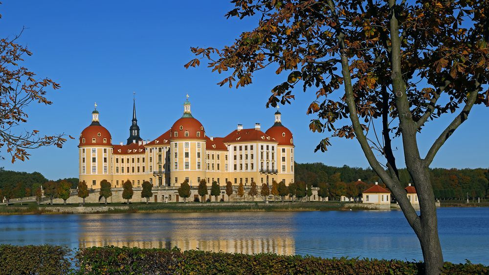 Goldener Herbst in Moritzburg wie es besser gar nicht sein kann...