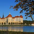 Goldener Herbst in Moritzburg wie es besser gar nicht sein kann...