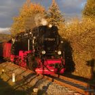 Goldener Herbst in Nordhausen Altentor.