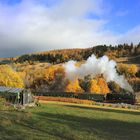 Goldener Herbst in O`thal - am Gewächshaus