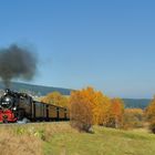 Goldener Herbst in O`thal - auf dem Damm