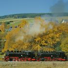 Goldener Herbst in O`thal - Lastprobefahrt