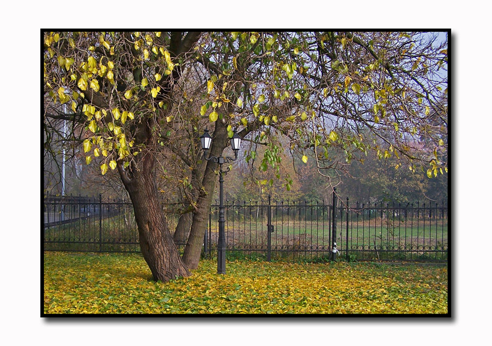 Goldener Herbst in Polen