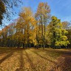 goldener Herbst in Rostock (Lindenpark)