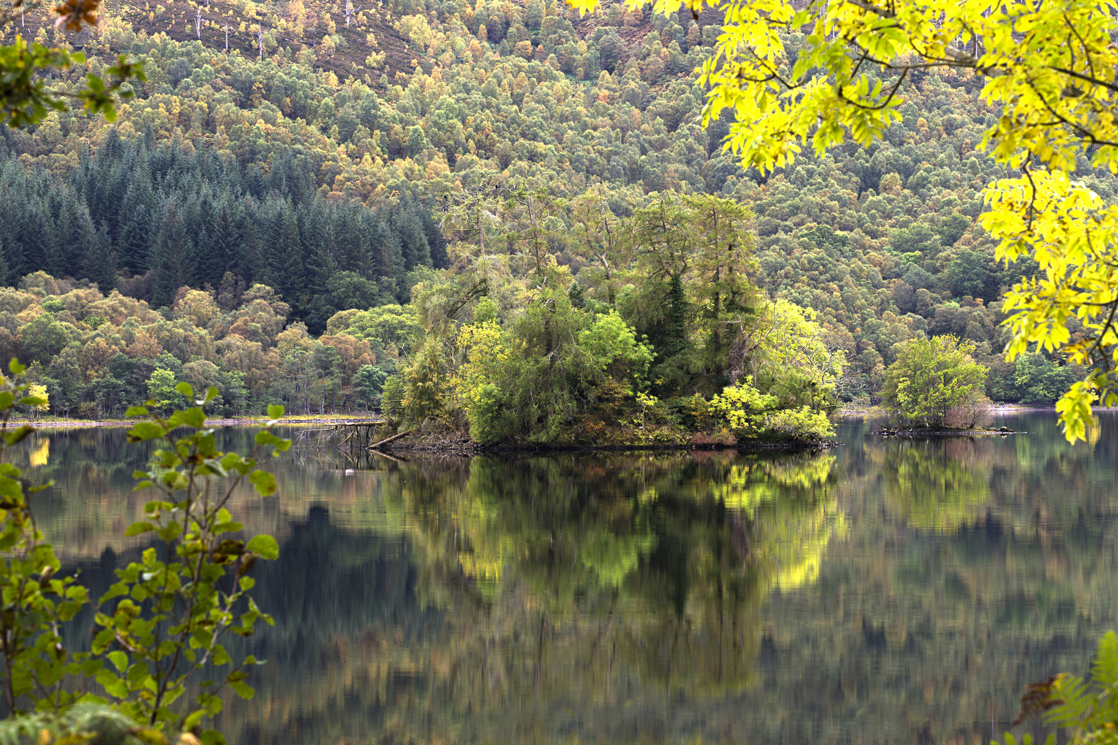 Goldener Herbst in Schottland