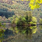 Goldener Herbst in Schottland