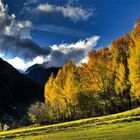 goldener Herbst in seiner schönsten Farbenpracht