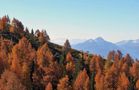 Goldener Herbst in Südtirol by Ernst-Wilhelm Sträter 