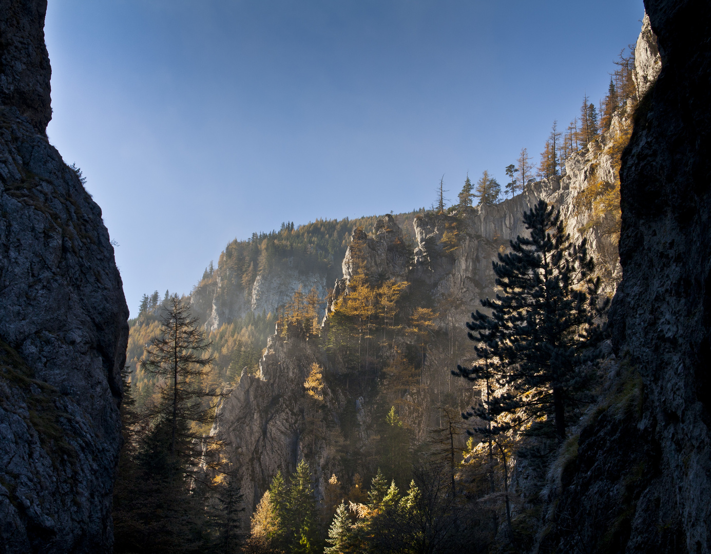 goldener Herbst in tiefer Schlucht