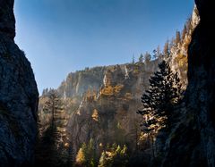 goldener Herbst in tiefer Schlucht