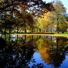 Goldener Herbst in unserem Schulpark