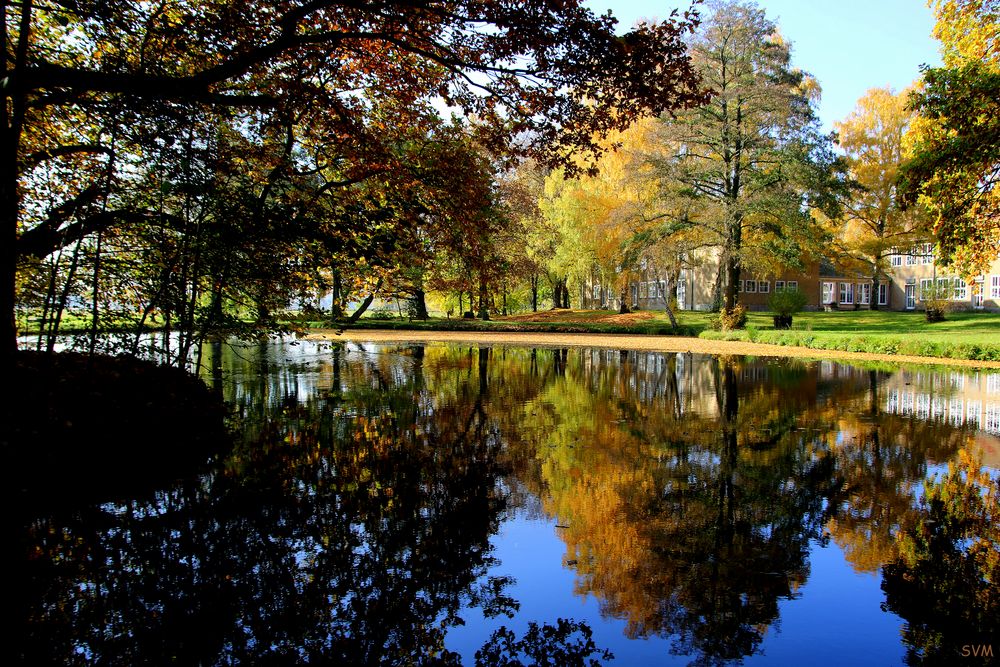 Goldener Herbst in unserem Schulpark