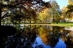 Goldener Herbst in unserem Schulpark