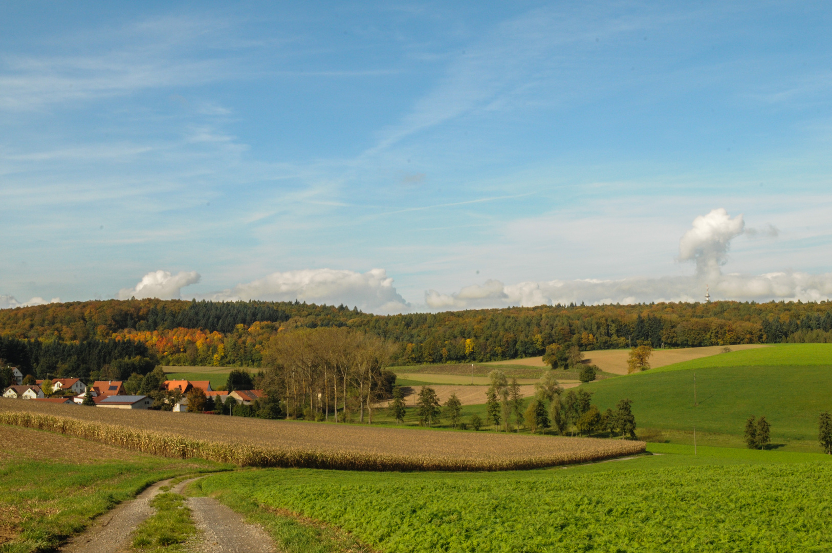 Goldener Herbst in Weiler 1