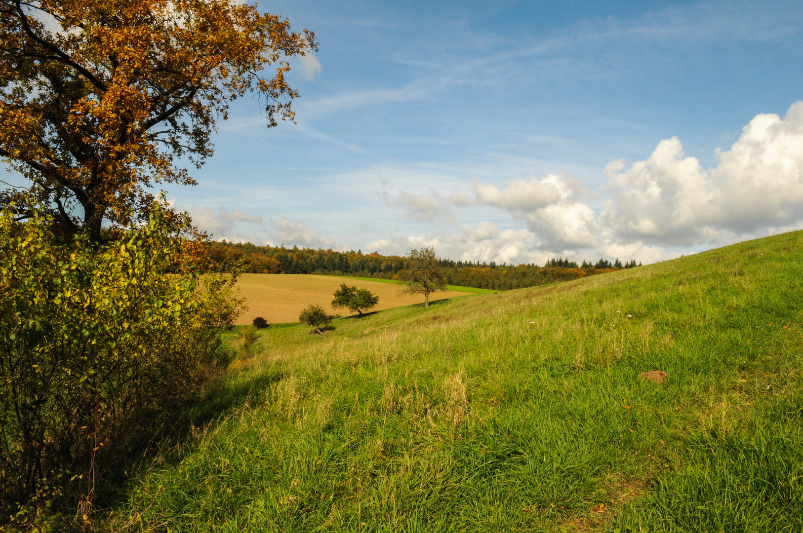 Goldener Herbst in Weiler 2