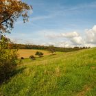 Goldener Herbst in Weiler 2