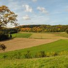 Goldener Herbst in Weiler 3