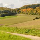 Goldener Herbst in Weiler 4