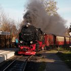 Goldener Herbst in Wernigerode 1.