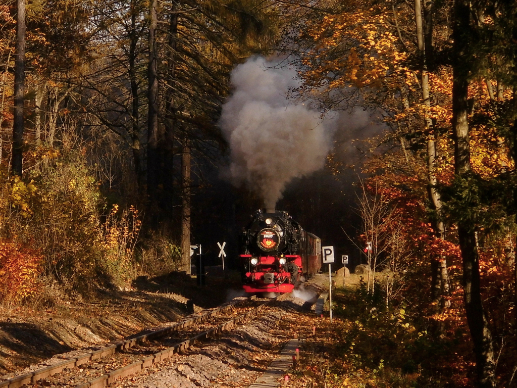 Goldener Herbst in Wernigerode 2.