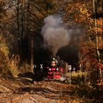 Goldener Herbst in Wernigerode 2.