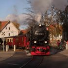 Goldener Herbst in Wernigerode Wasterntor.