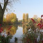 Goldener Herbst in Wittringen (Gladbeck)