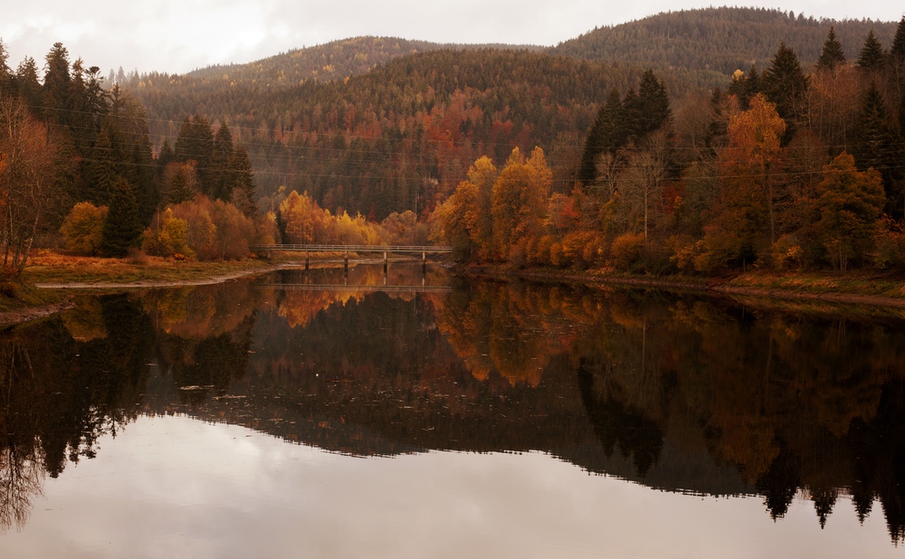 Goldener Herbst IV