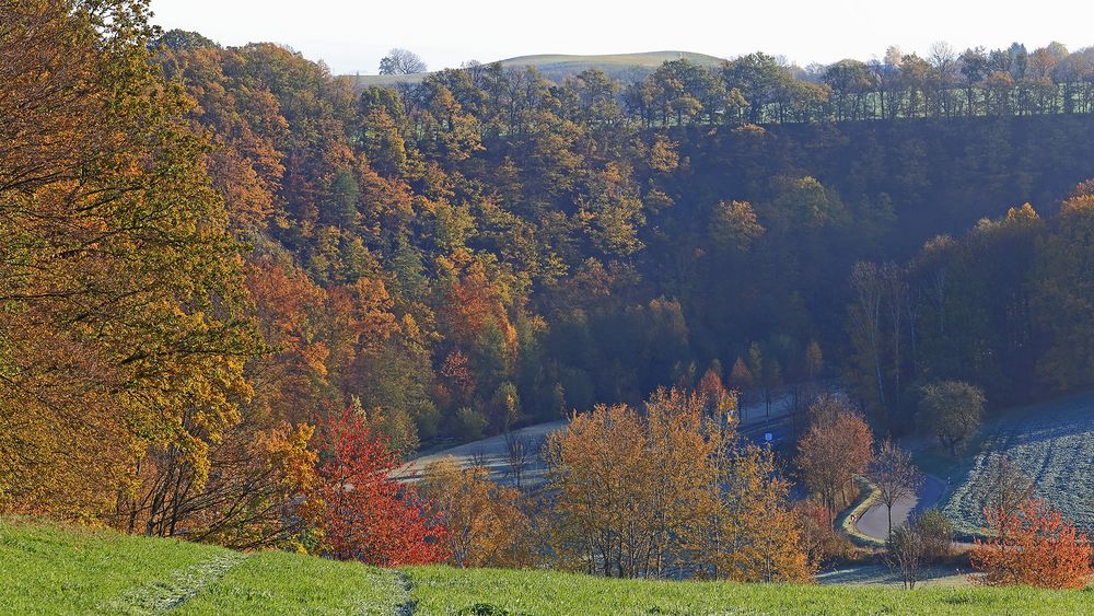 Goldener Herbst letzten Sonntag bei der Auffahrt aus dem Müglitztal...