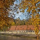 Goldener Herbst mit Blick auf Schloss Osterstein 