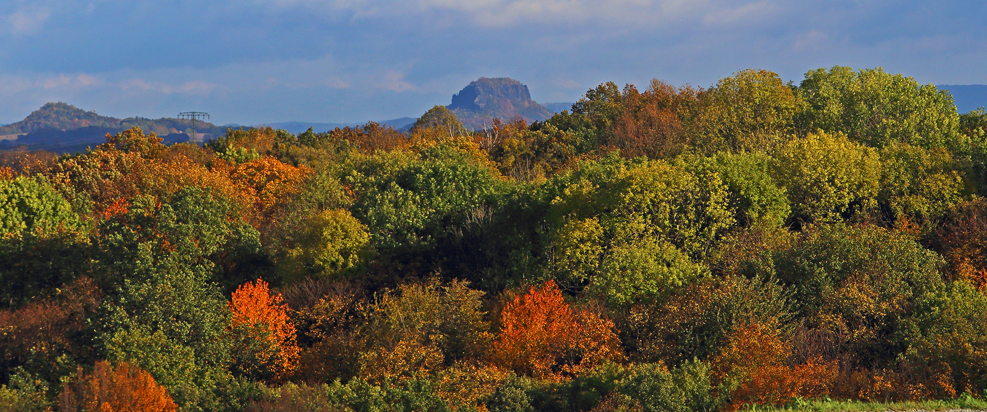 Goldener Herbst mit dem Lilienstein, dem Wahrzeichen der Sächsischen Schweiz...