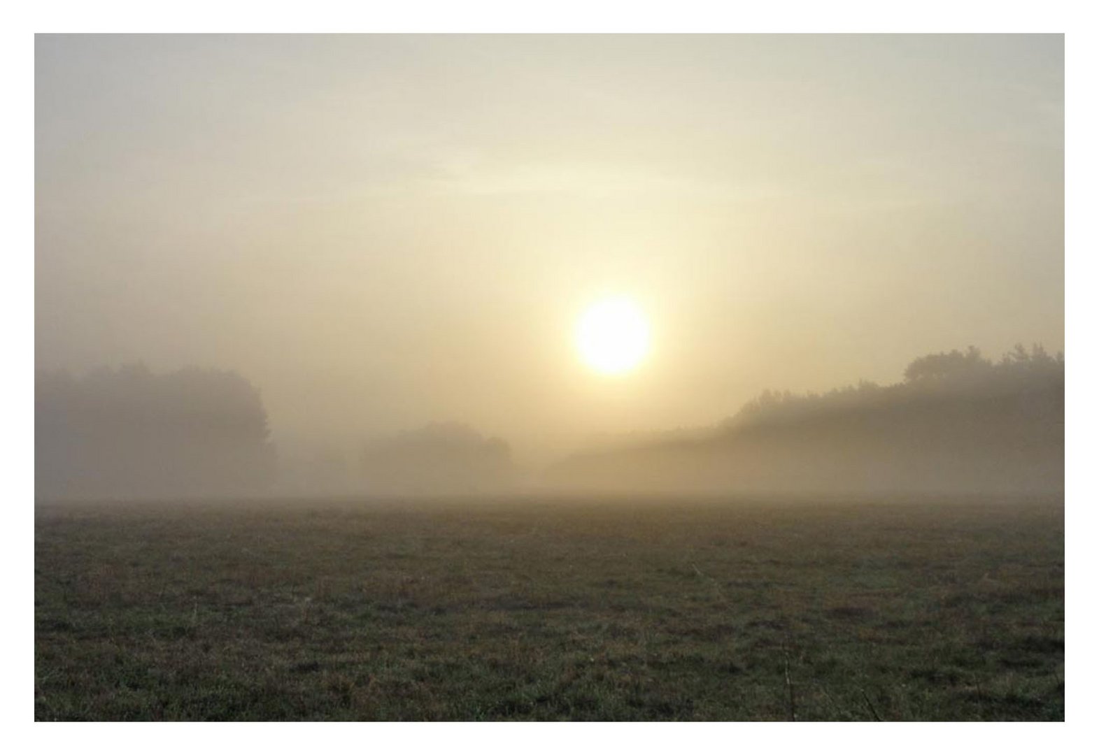 Goldener Herbst mit Morgennebel im Fläming