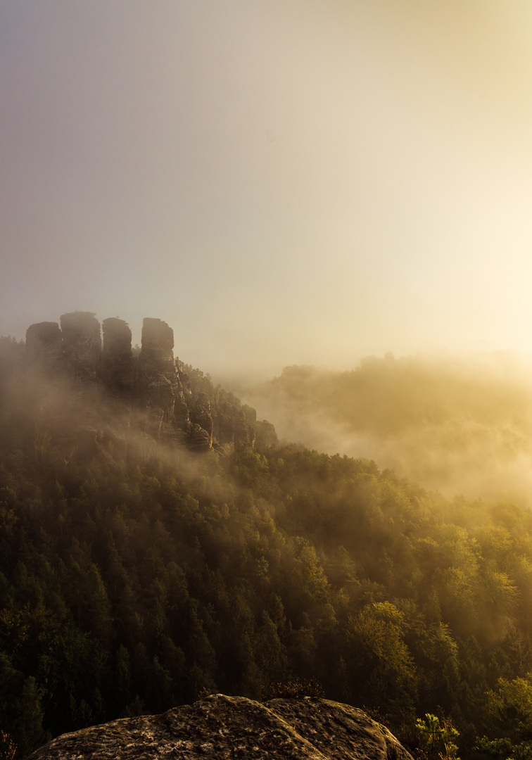 goldener Herbst No.1