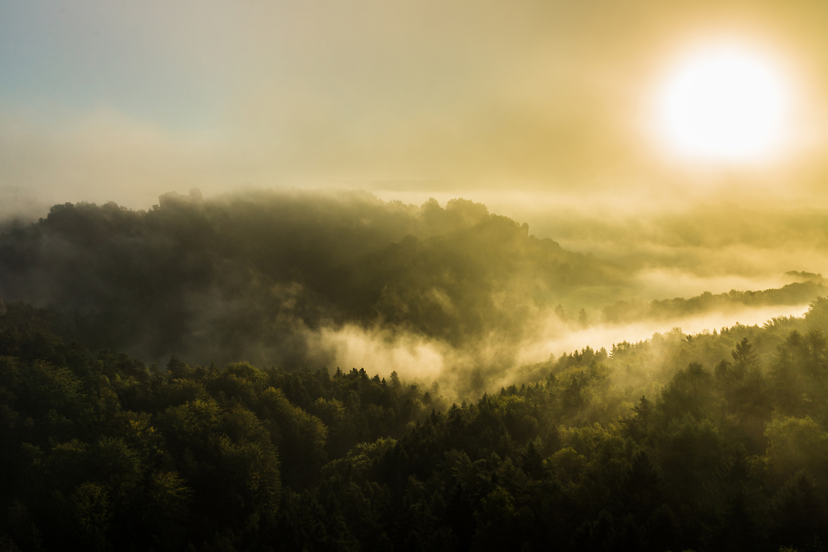 goldener Herbst No.2