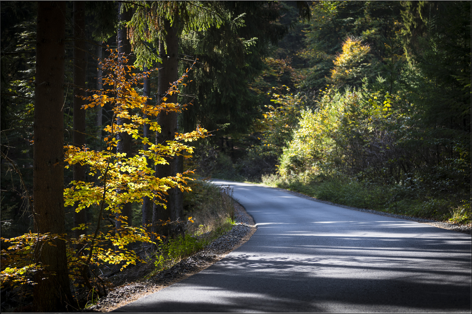 Goldener Herbst, oder...