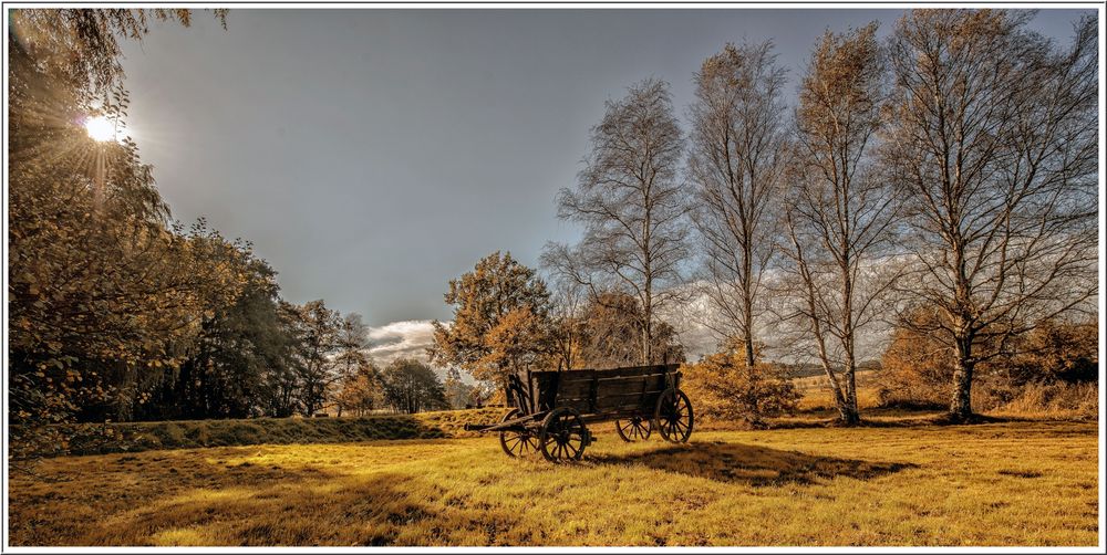 Goldener Herbst - Rammenau