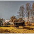 Goldener Herbst - Rammenau