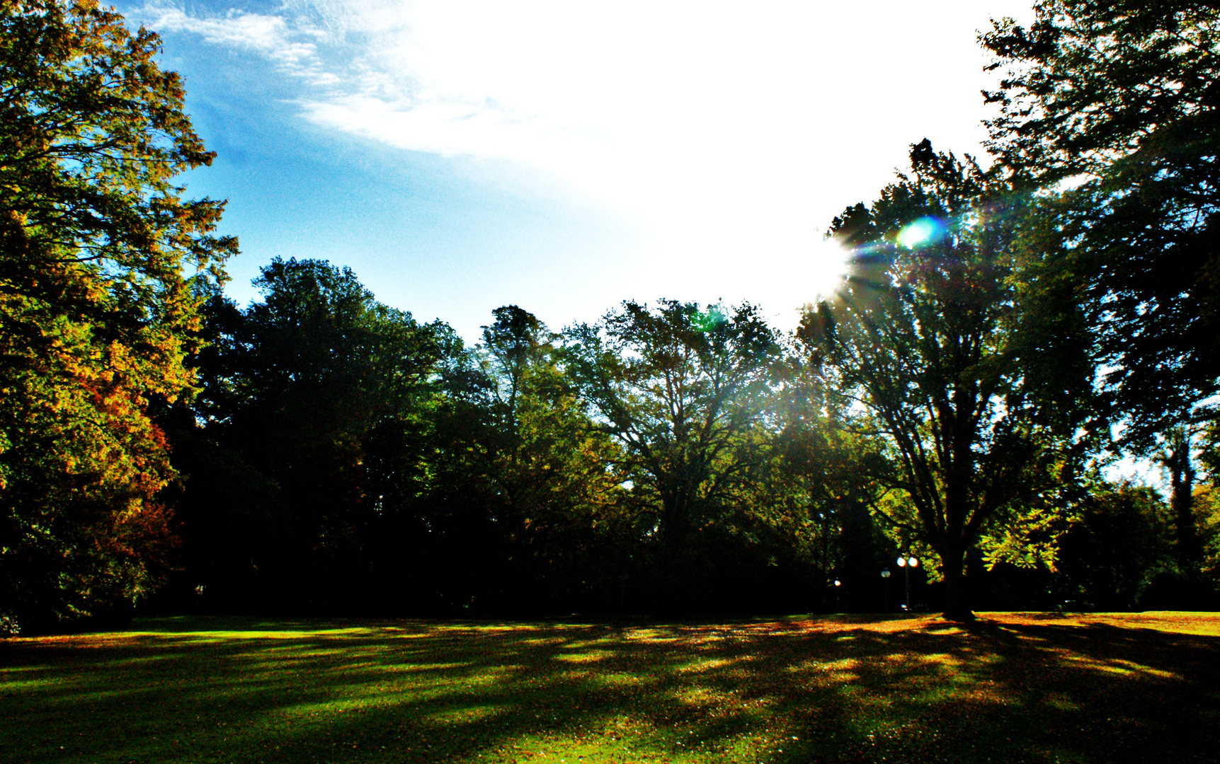 goldener Herbst-Tag