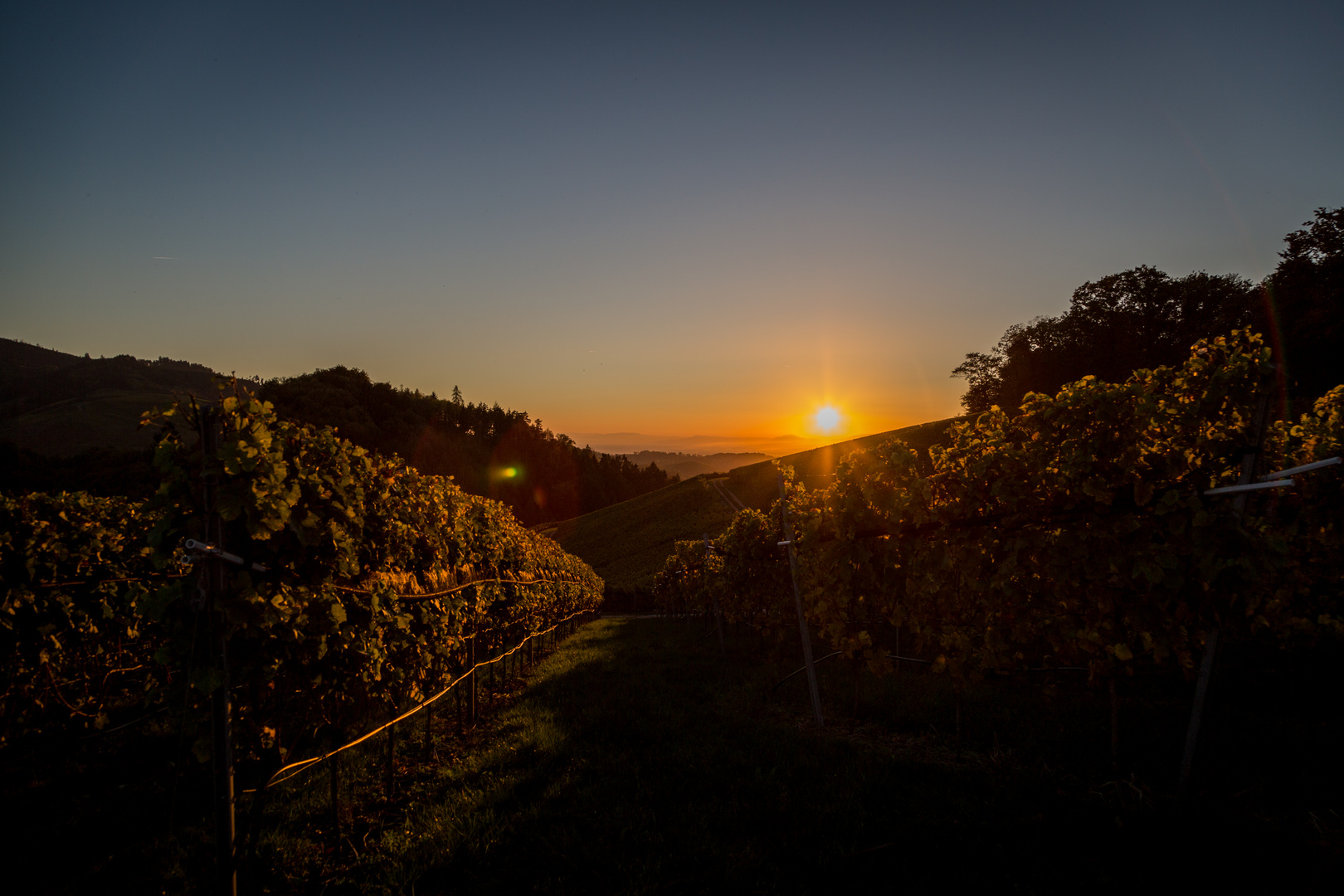 Goldener Herbst über Durbach