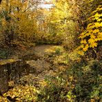 Goldener Herbst unbearbeitet