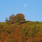 Goldener Herbst und der Mond auf den Höhen links der Müglitz...