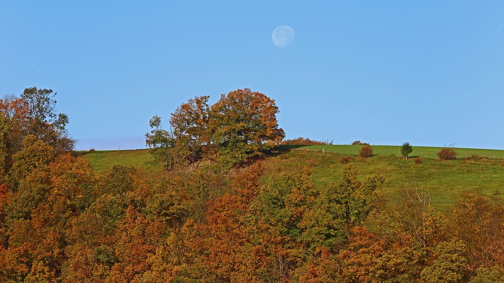 Goldener Herbst und der Mond auf den Höhen links der Müglitz...