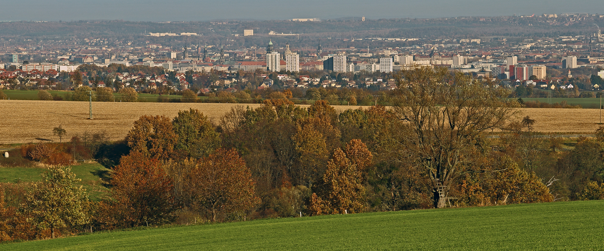Goldener Herbst und Dresdenblick aus der Nähe der Babisnauer Pappel