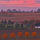 Goldener Herbst und Morgenrot in Köttewitz südlich von unserem Gartengrundstück