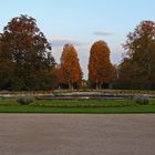 Goldener Herbst vom Feinsten auch im Schlosspark Pillnitz