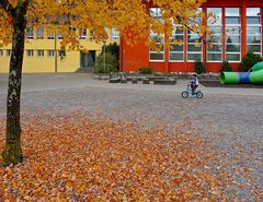 "goldener Herbst" von Lisa Stamm