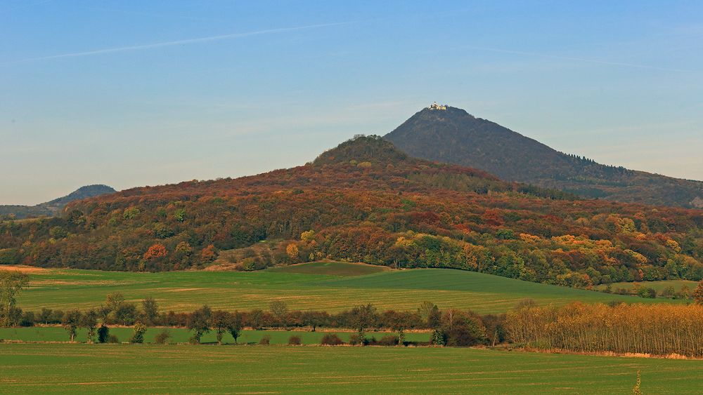 Goldener Herbst vor allem am Ostry, dahinter der Milleschauer (Milesovka)...