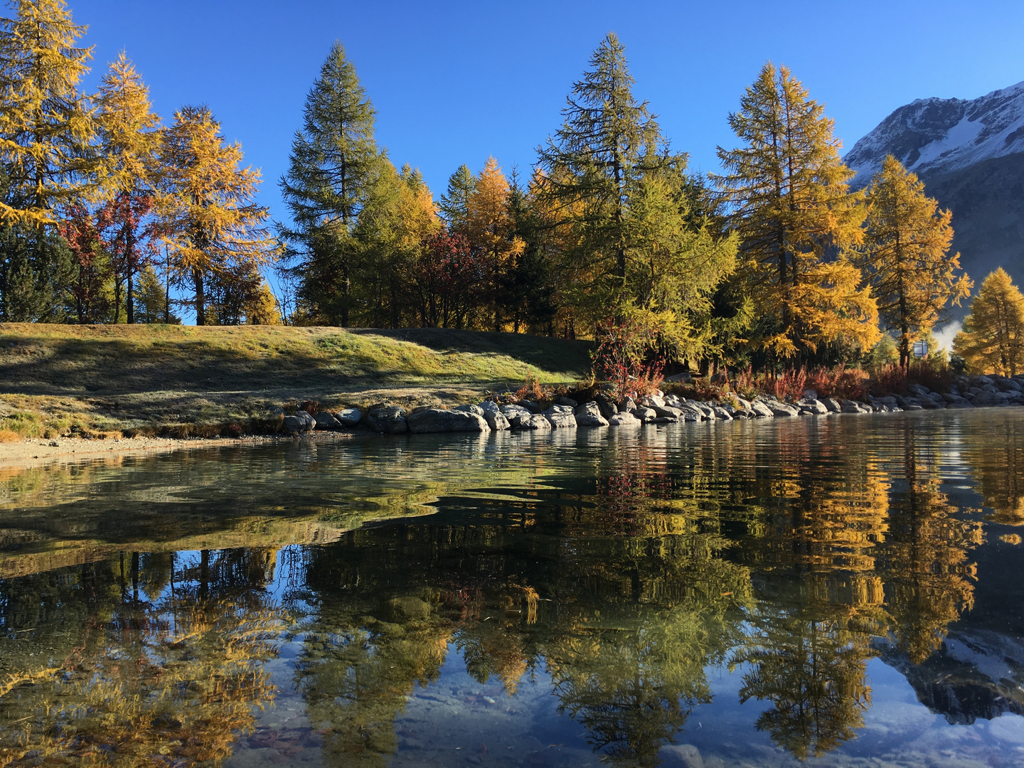 Goldener Herbst, wo bist du?