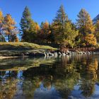 Goldener Herbst, wo bist du?