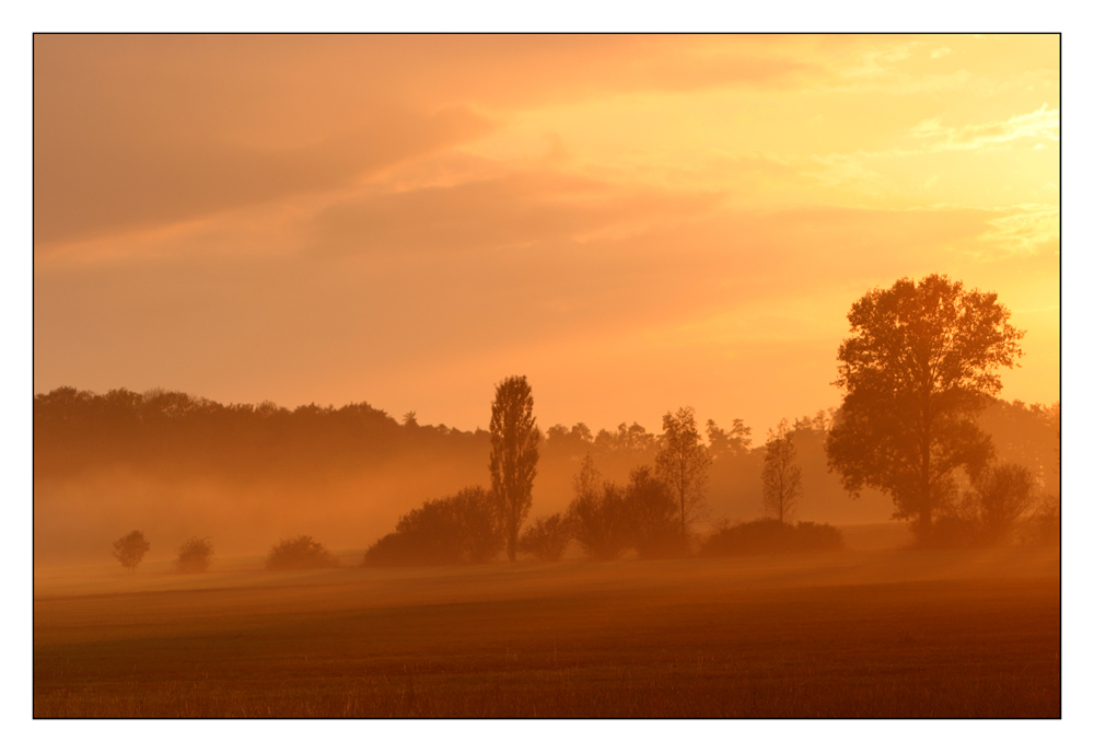 Goldener Herbstabend